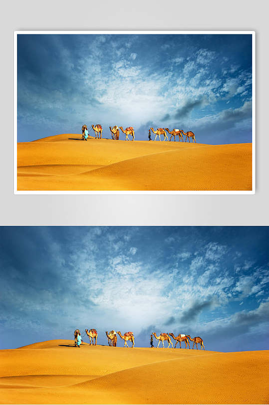 沙漠骆驼中国版小苹果下载(沙漠骆驼mv完整版下载)