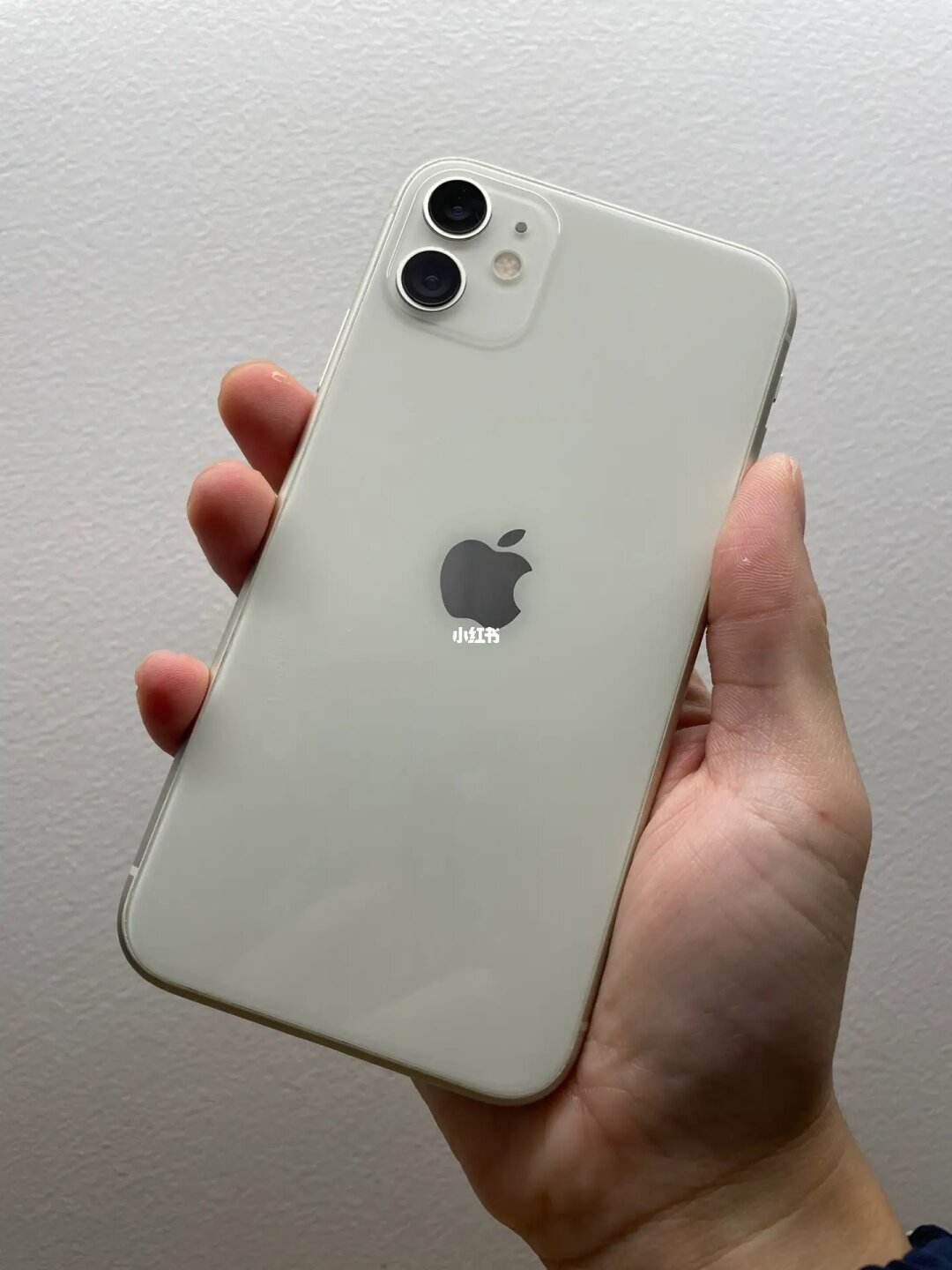 苹果11白色版实拍图片(iphone 11白色好看吗)-第2张图片-太平洋在线下载