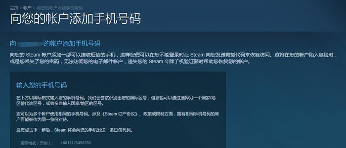 steam有手机版吗(steam手机版有手机游戏吗)-第2张图片-太平洋在线下载