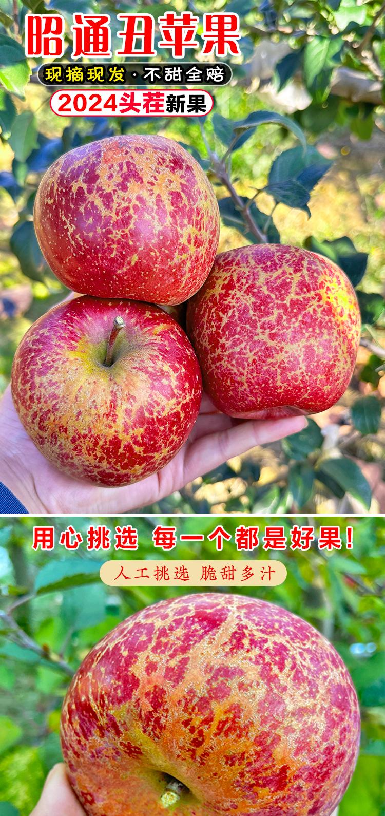 甜瓜苹果中国版甜瓜游乐场最新版-第2张图片-太平洋在线下载